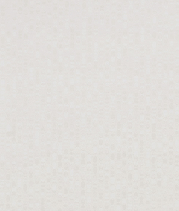 無(wú)限白--1